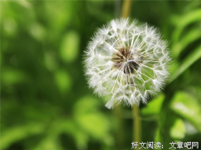 关于随笔的优美句子