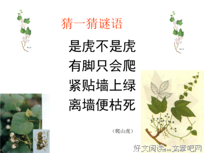 完美距离经典的句子