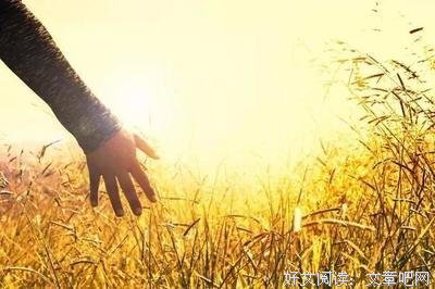 《触心》的句子