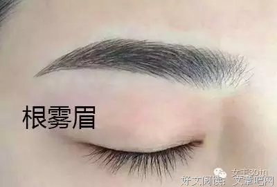 关于眉如黛精彩语录