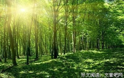 萧伯纳的名言