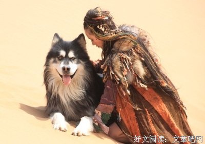 最经典的《大漠谣》小说句子大全