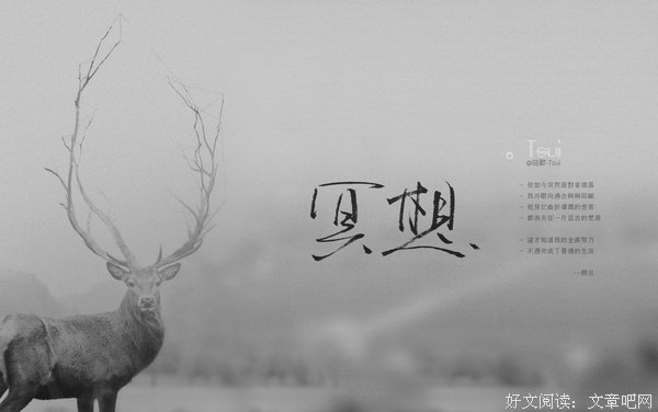 最经典的《我们仨》唯美语录