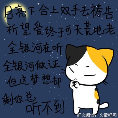 最经典的《我是猫》经典语句
