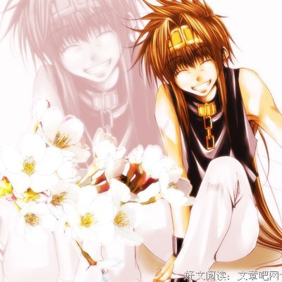 《最游记》好段摘抄
