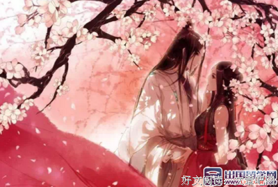 最新的《桃花扇》经典语录