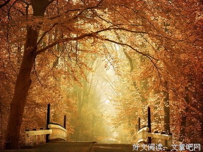 最经典的《美图吧》好段摘抄