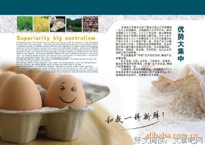 《荒原狼》名句欣赏大全