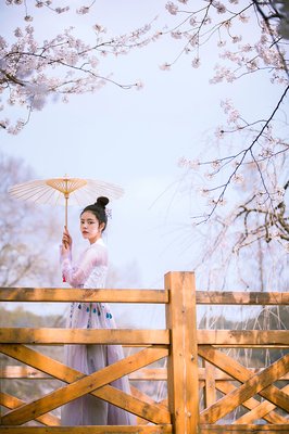 《醉花阴》语录摘抄