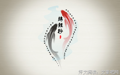《锦鲤抄》好段摘抄