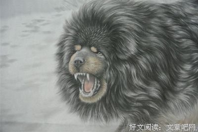 关于唐望的唯美语录