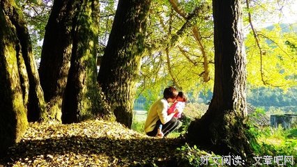 关于天伦的座右铭