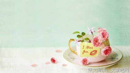 我最喜欢的句子