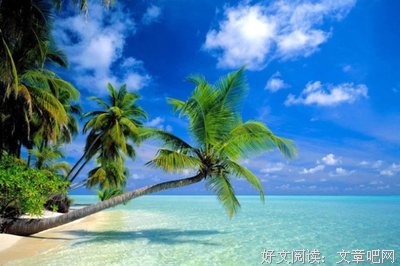 我喜欢的经典名句