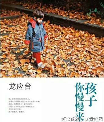 龙应台经典名句