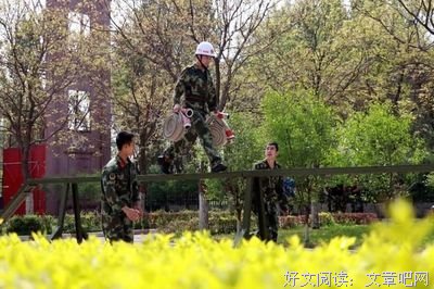 有关波哥哥i的名句