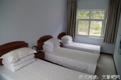 《人间草木》经典语句大全