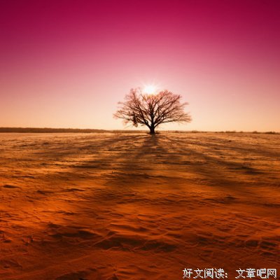 最全的《似水流年》名句欣赏大全