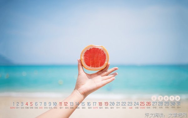 最全的《八月未央》经典名句大全