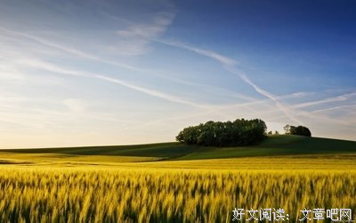 最全的《励志一生》语录摘抄