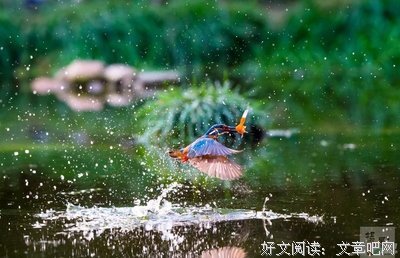 小翠的句子