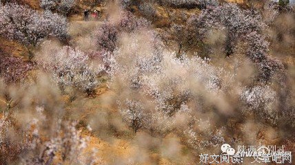玉京的名言_关于玉京的名言