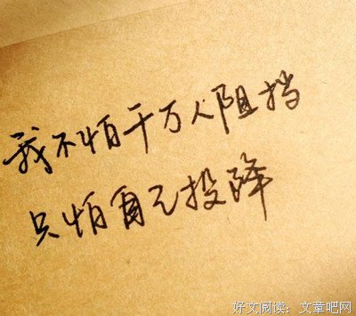 关于稳定的唯美语录