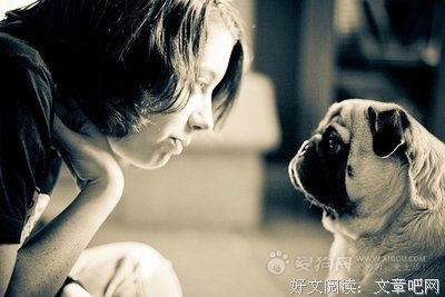 关于装疯卖傻的格言