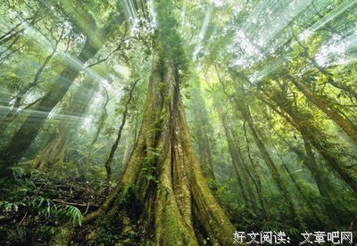 戴风对事出德经典名句