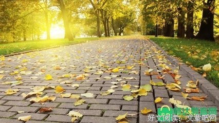 国外声年天来之公才子回家的优美句子