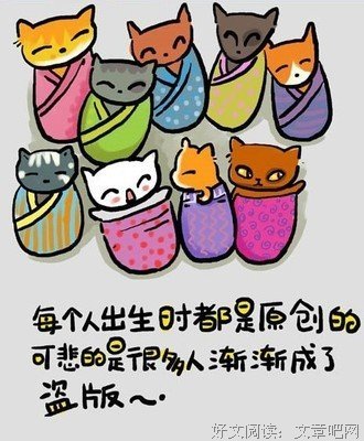 关于猫语猫寻名言