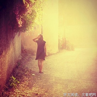 《我已老去》经典句子