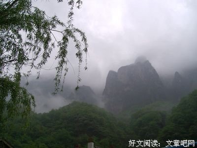 最经典的《我本浪人》名句欣赏