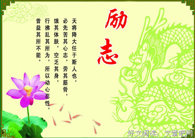 最新的《杉杉来了》经典句子大全