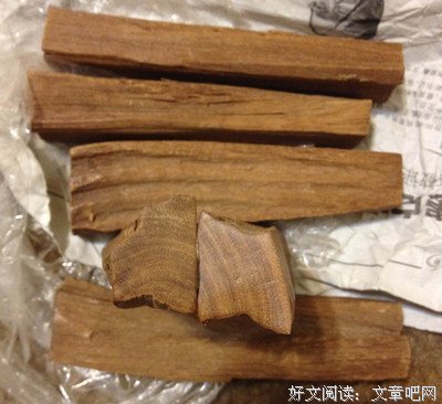 最经典的《沉香如屑》语录摘抄