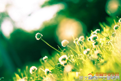 最新的《生死忧患》语录摘抄