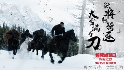 浴血奋战的句子