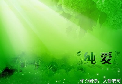 2019成年人爱情手册（必读）