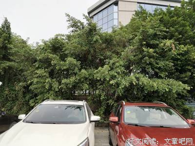 最新的邓先森的名言