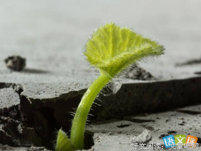 最经典的保罗·科尔贺名言警句