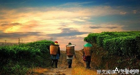 阿摩司·奥兹的名言