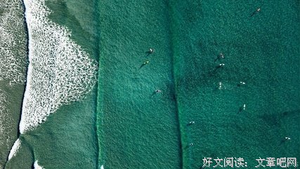 有关伊丽莎白·毕肖普的名言
