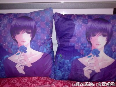 关于长着翅膀的大灰狼座右铭