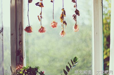 《过得刚好》佳句摘抄大全