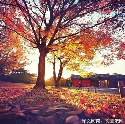 一路走来，懂了很多