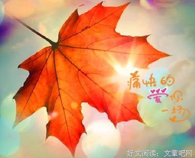 《骄阳似我》语录摘抄