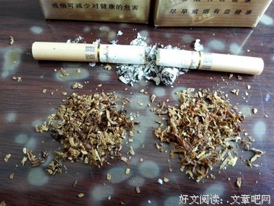 最经典的《综漫 殊途》小说句子