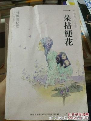最全的《一朵桔梗花》小说摘抄