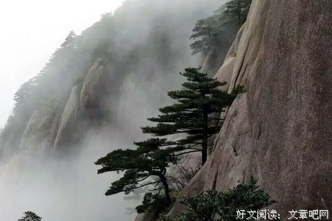 最新的《万物的签名》经典句子