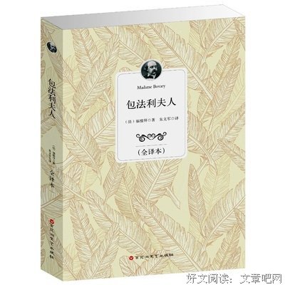 最新的《包法利夫人》经典句子